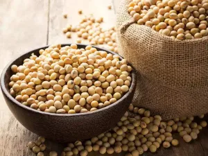 Soybean  taka Tak